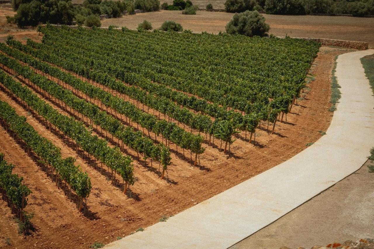 Finca Gomera By Itinerem - Adults Only Llucmajor (Mallorca) Zewnętrze zdjęcie